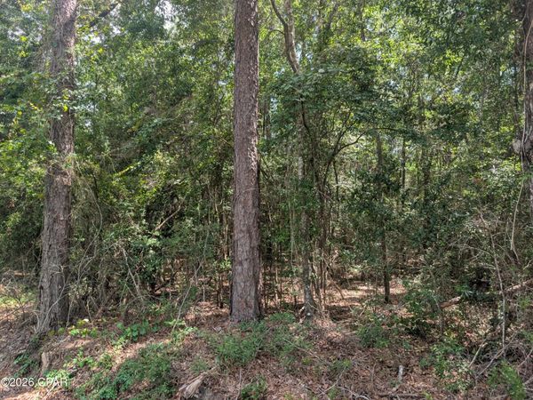 TBD Marian Drive , Bonifay, FL 32425
