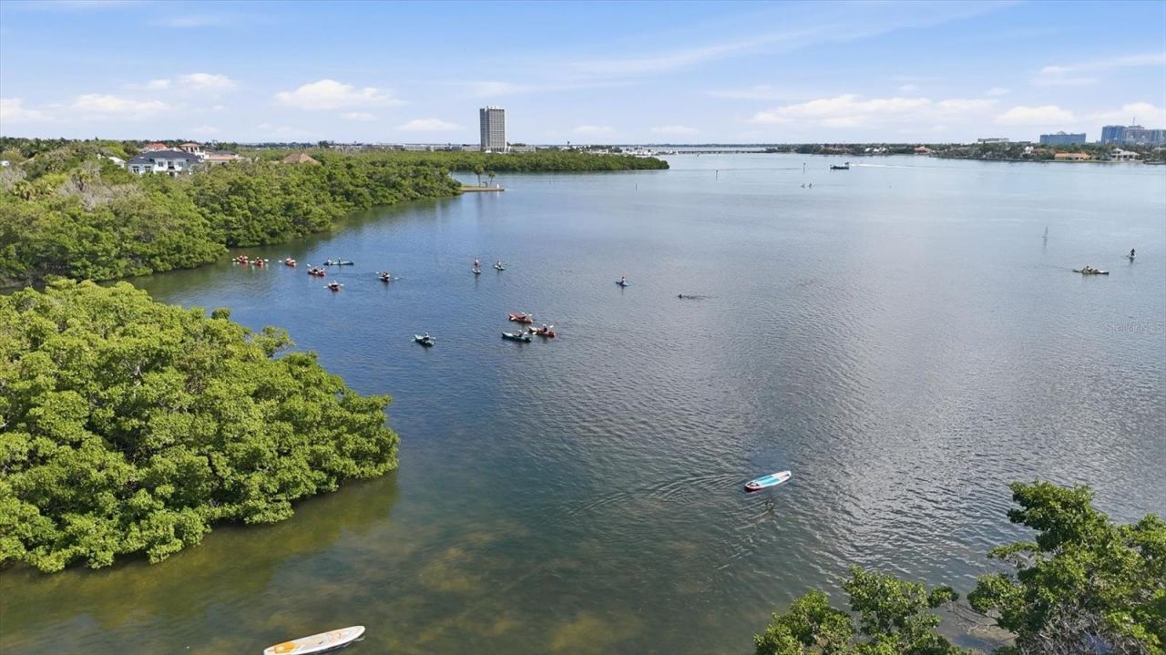 1001 Benjamin Franklin Drive, Unit 206, Sarasota, FL 34236 Photo