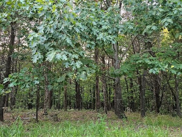 2000 Heather Drive , Lake Sherwood, MO 63357