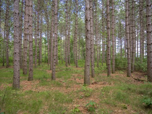 Lot 10 County Road G, Necedah, WI 54646