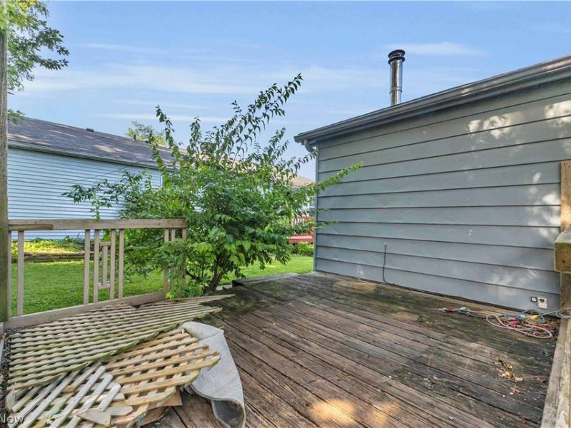 445 Morgan Court , Lagrange, OH 44050 Photo 23