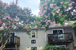1402 Camp Road photo 4