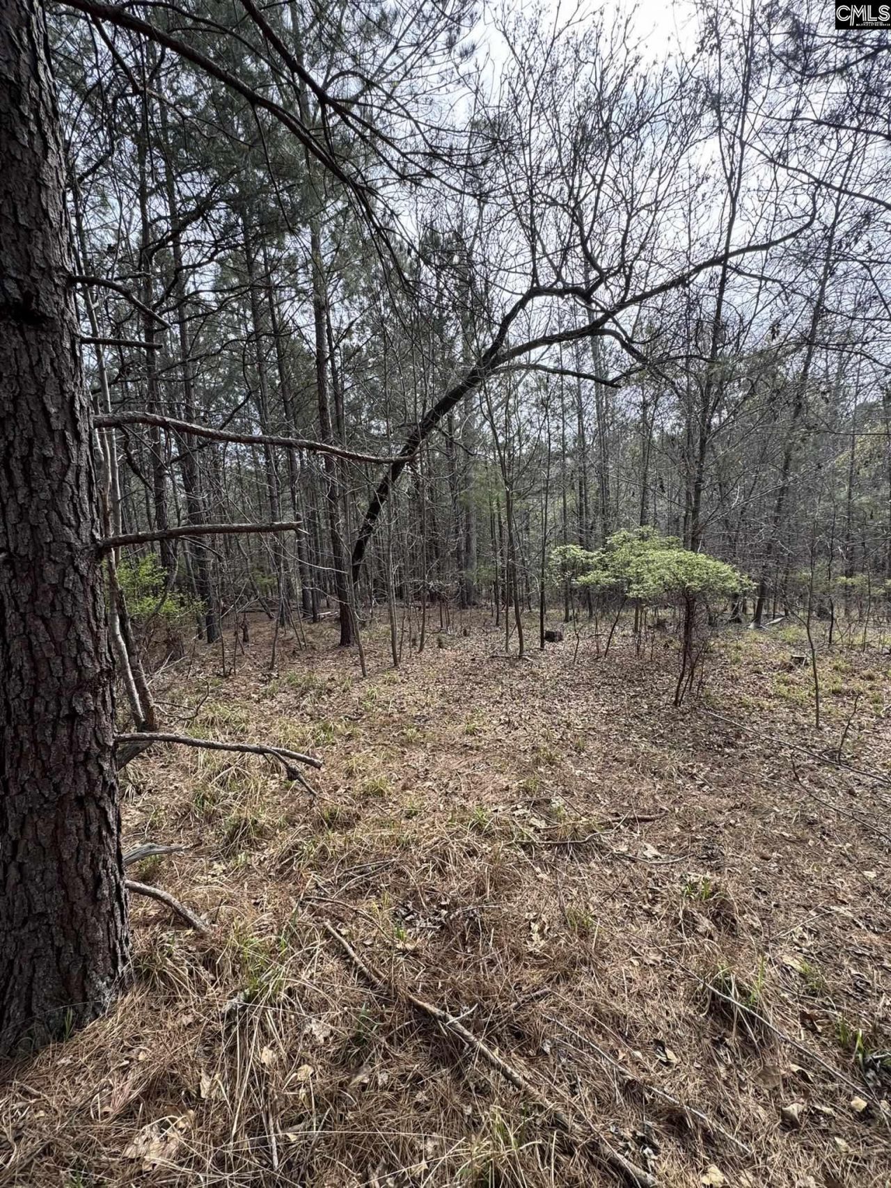 359 Holly Point Road  Photo 5