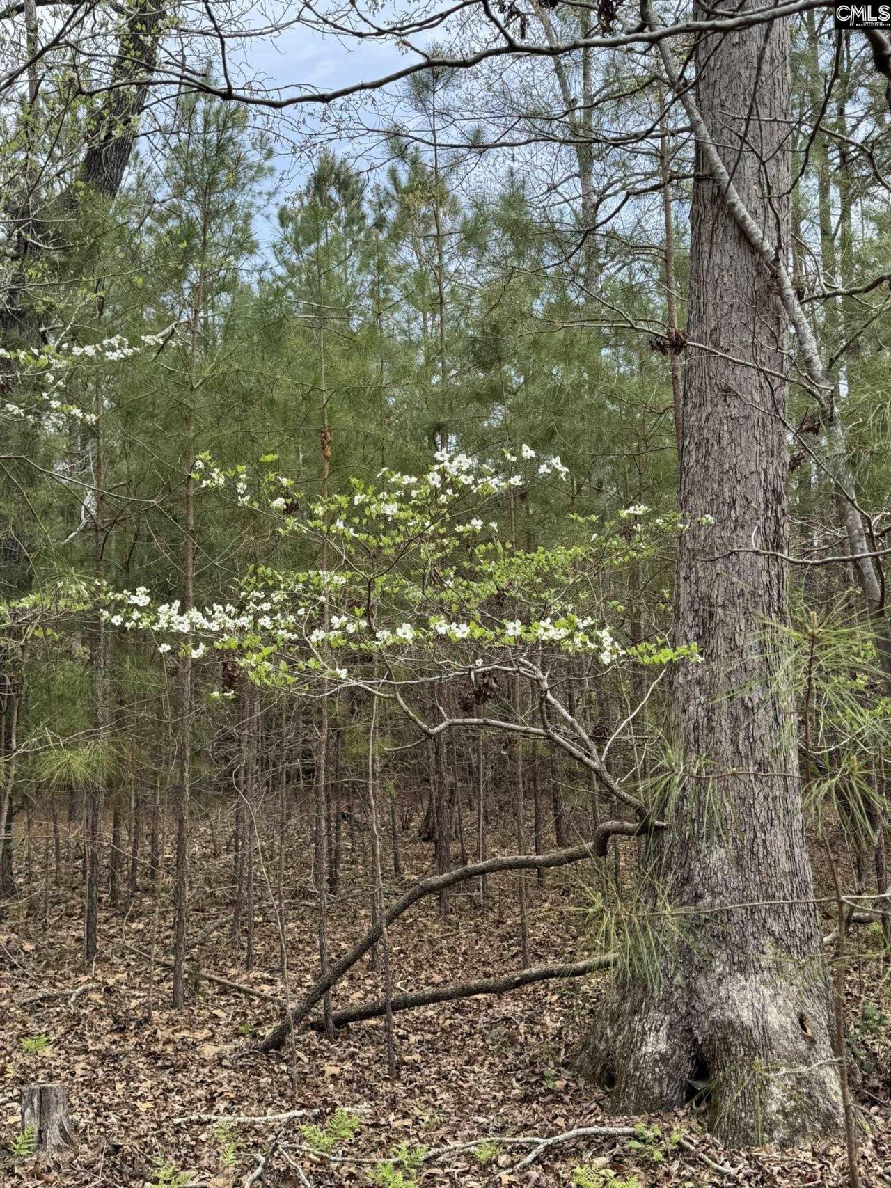 359 Holly Point Road  Photo 7
