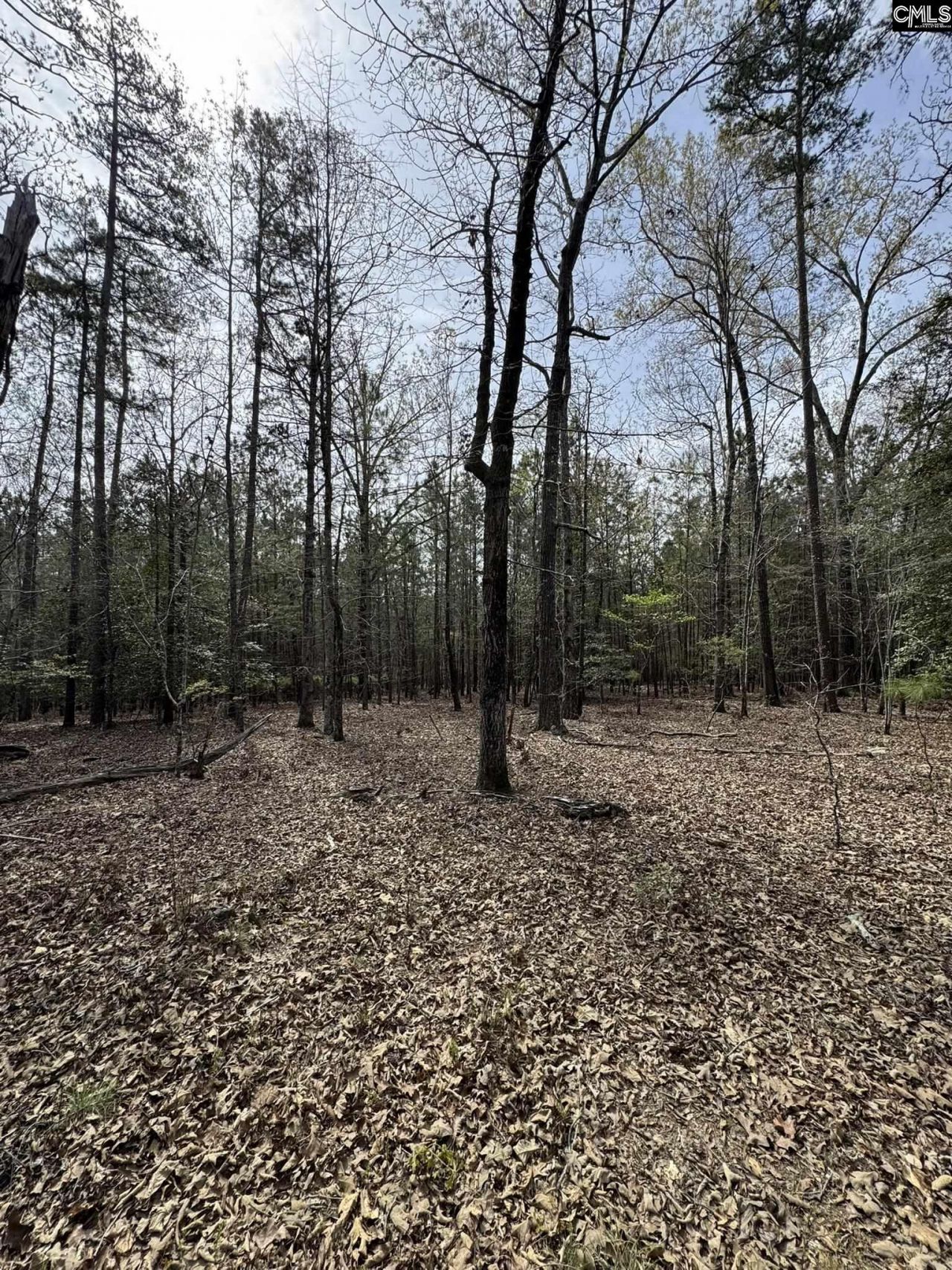 359 Holly Point Road  Photo 8