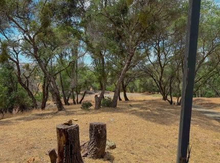 14950 Clinton Rd, Jackson, CA 95642 Photo