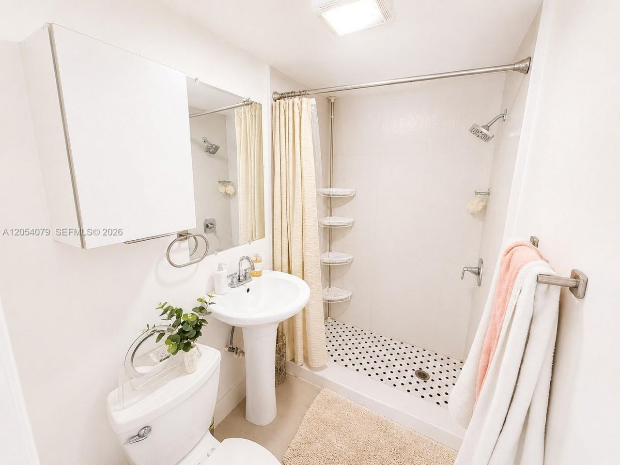 260 NW 132nd Ave , Unit 1, Miami, FL 33182 Photo