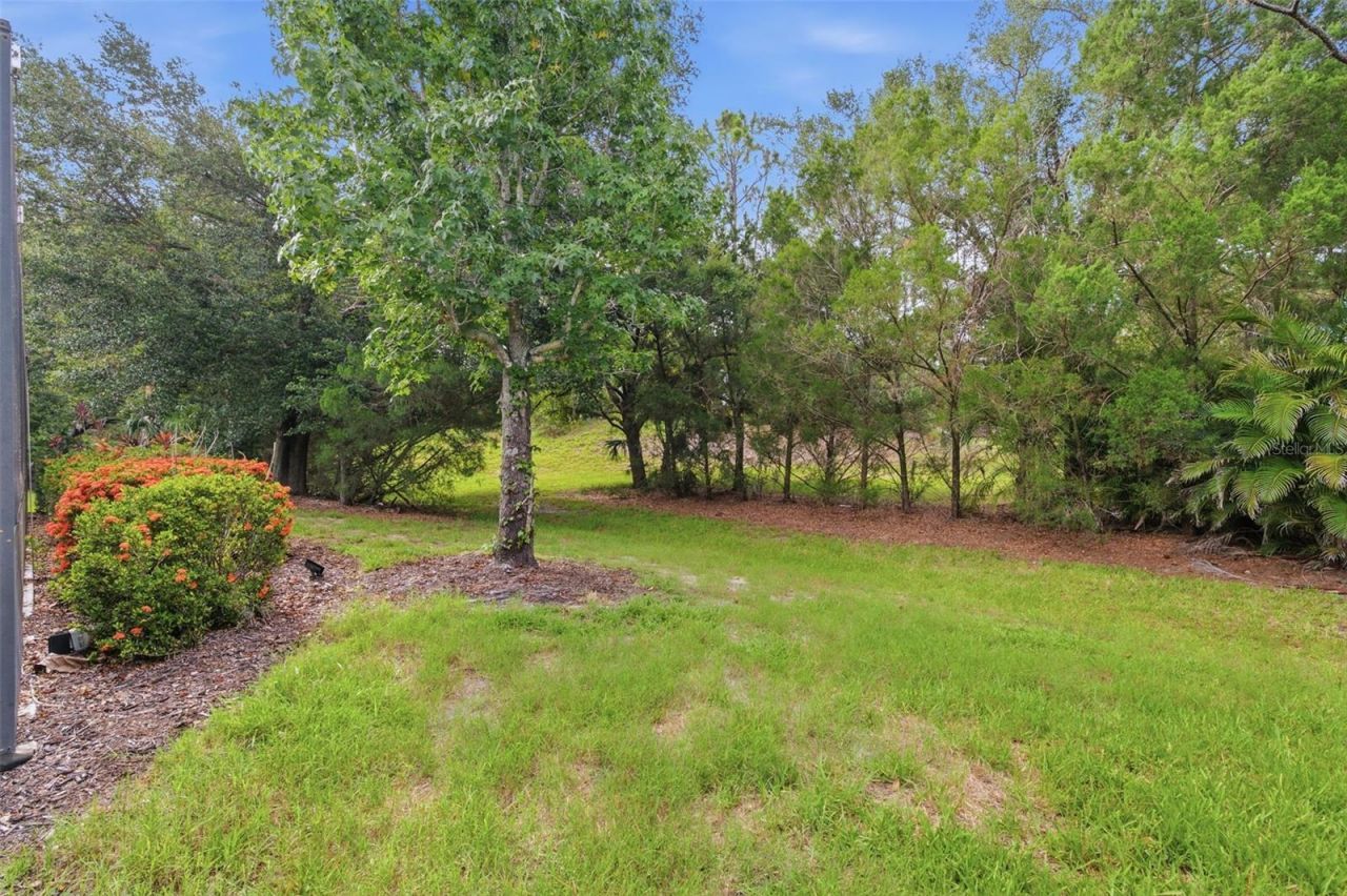 13860 Siena Loop, Bradenton, FL 34202 Photo