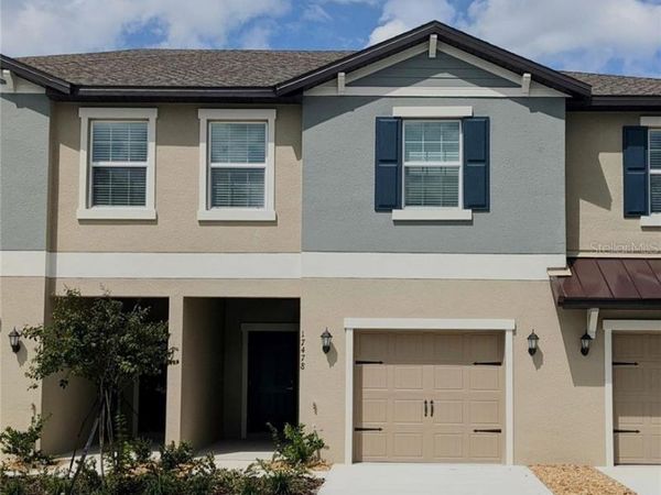 17478 NECTAR FLUME DRIVE , LAND O LAKES, FL 34638