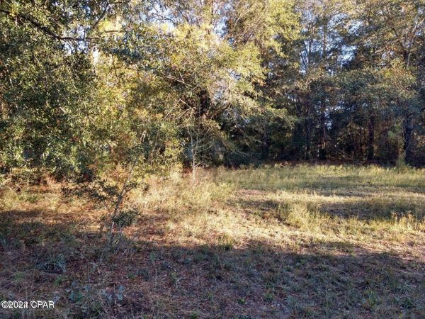 0 Marian Drive , Bonifay, FL 32425
