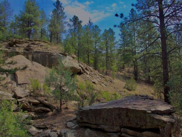 Pine Lane, Weston, CO 81091