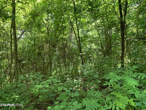 Cavalry Rd, New Tazewell, TN 37825