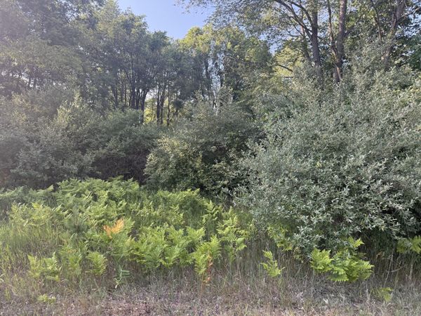 6380 Clubhouse Dr East E, Unit 419, Stanwood, MI 49346