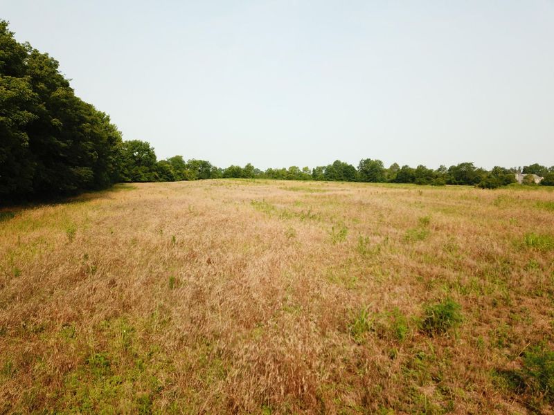 0 Brindle Road, Ostrander, OH 43061 Photo 2