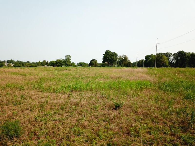 0 Brindle Road, Ostrander, OH 43061 Photo 3