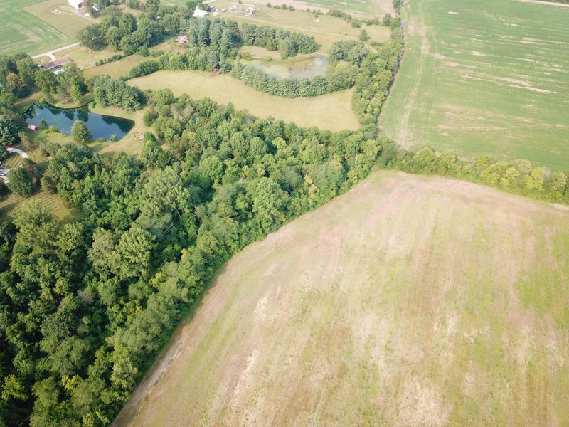 0 Brindle Road, Ostrander, OH 43061 Photo 5