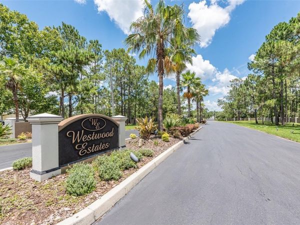 8616 SPRING FOREST LANE , WESLEY CHAPEL, FL 33544