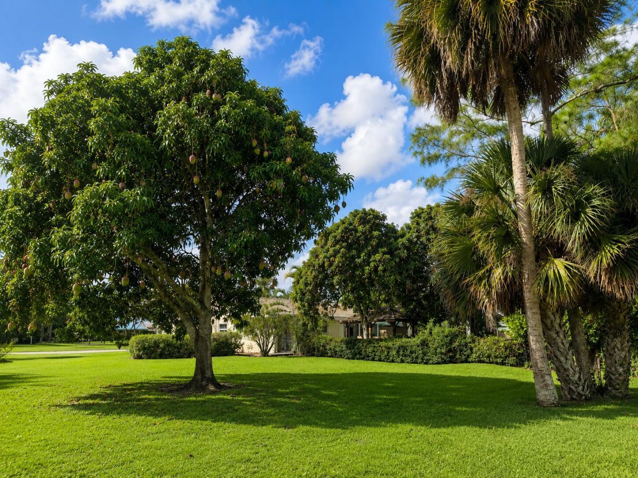 167 Forester Court, Wellington, FL 33414 Photo