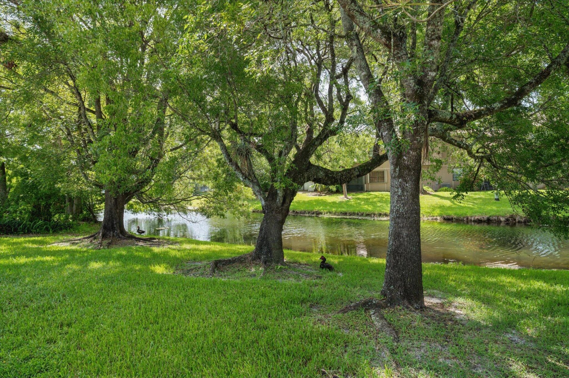 10884 NW 17th Manor, Coral Springs, FL 33071 Photo