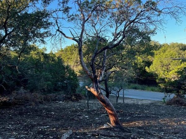 340 LEDGEVIEW DR, Canyon Lake, TX 78133