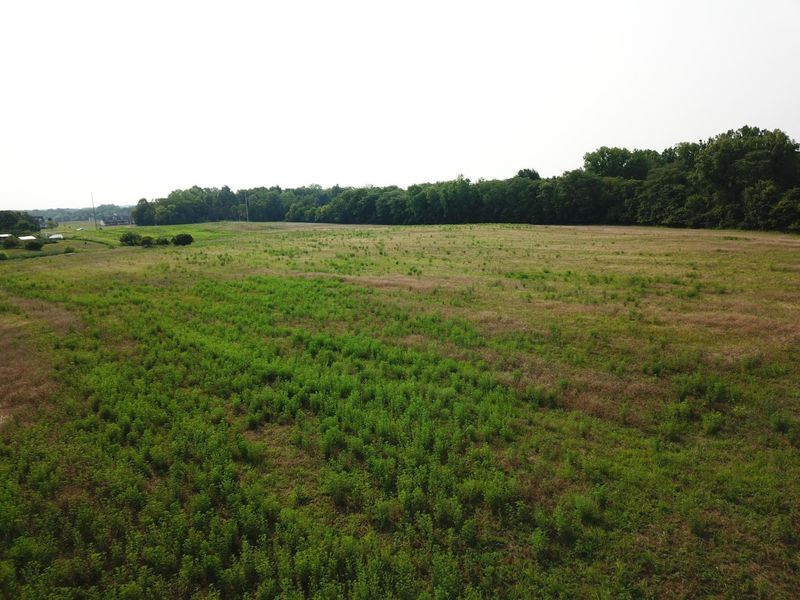 0 Brindle Road, Ostrander, OH 43061 Photo 12