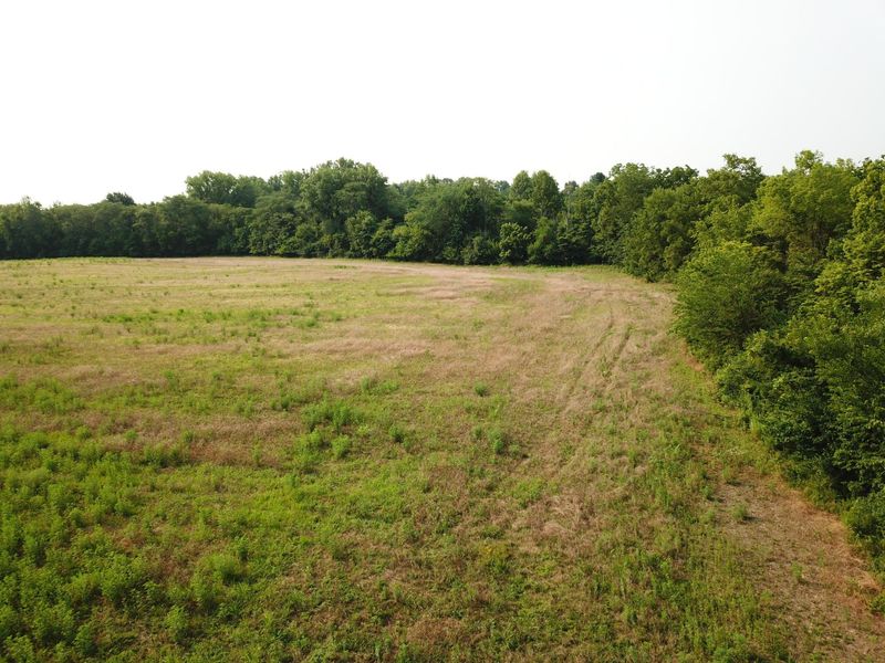 0 Brindle Road, Ostrander, OH 43061 Photo 13