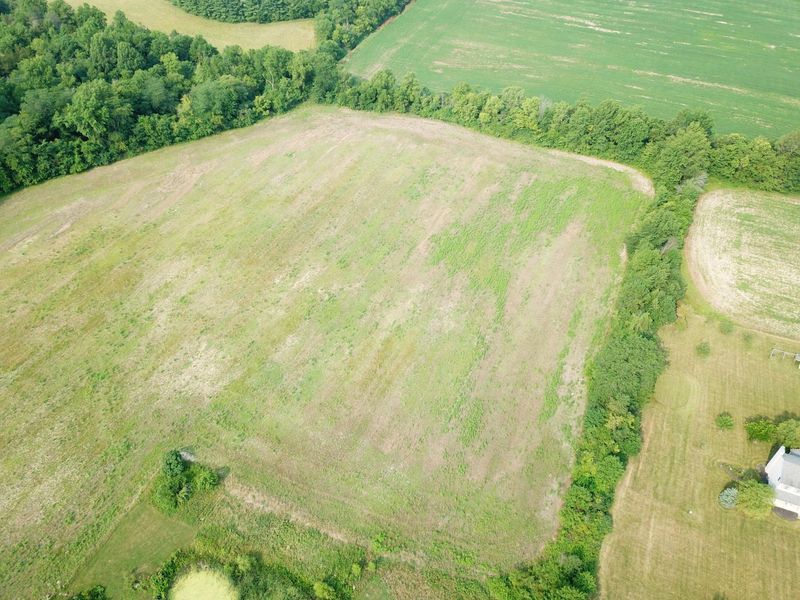 0 Brindle Road, Ostrander, OH 43061 Photo 6