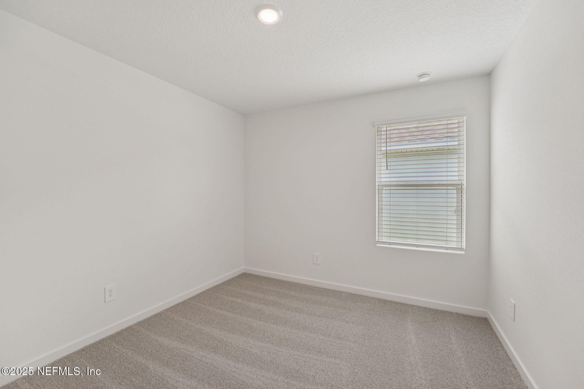 116 Wandering Creek Way, Palm Coast, FL 32164 Photo