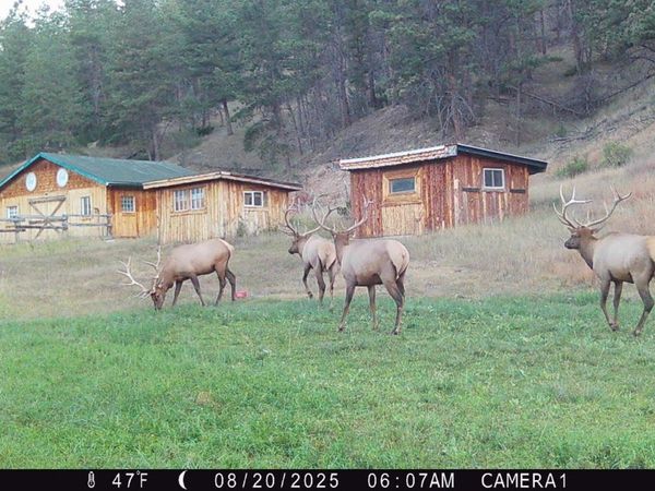 TBD HOT BROOK CANYON RD, Hot Springs, SD 57747