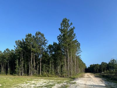 0 Droze Lane, Summerville, SC 29486