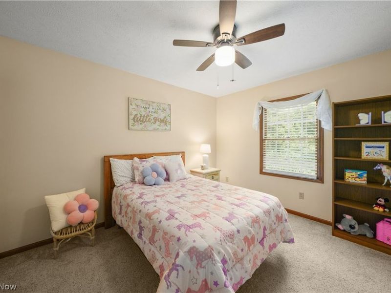 698 Deep Woods Drive, Aurora, OH 44202 Photo 19