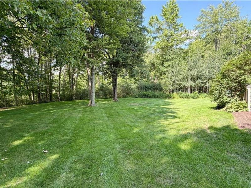 698 Deep Woods Drive, Aurora, OH 44202 Photo 42