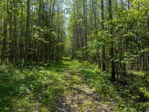 14195 & 14199 County Highway M, Cable, WI 54821