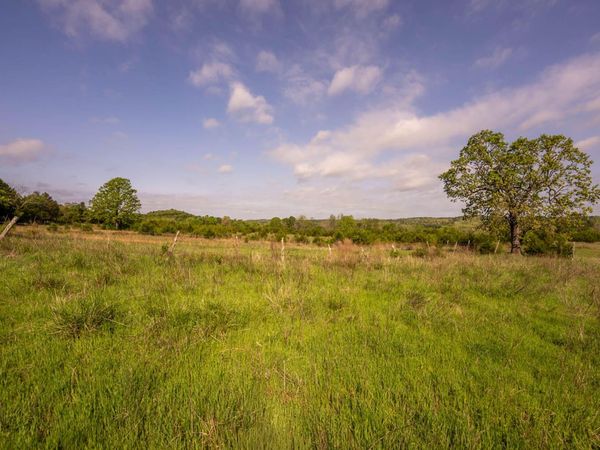 Tract 2 Little Woods Road , Elizabeth, AR 72531