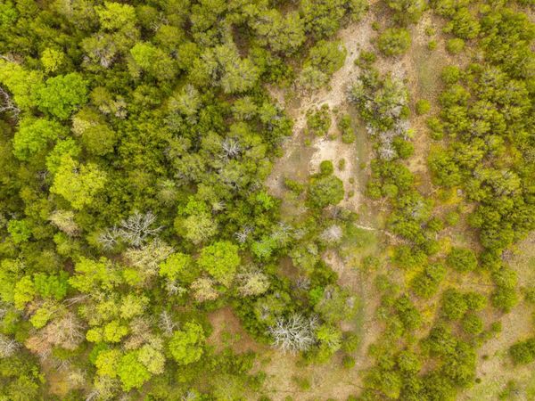 Tract 3 Little Woods Road , Elizabeth, AR 72531