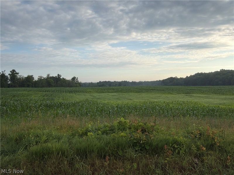 5201 Emerson Road, Madison, OH 44057 Photo 1