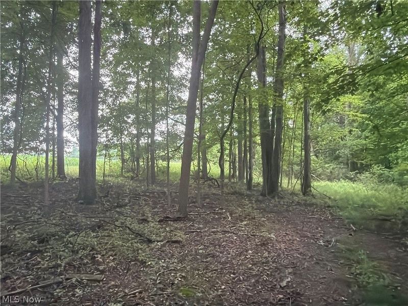 5201 Emerson Road, Madison, OH 44057 Photo 30