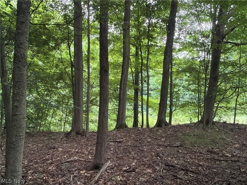 5201 Emerson Road, Madison, OH 44057 Photo 34