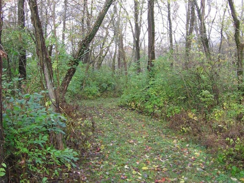 1862 E Fosters Maineville Road, Hamilton Twp, OH 45152 Photo 51
