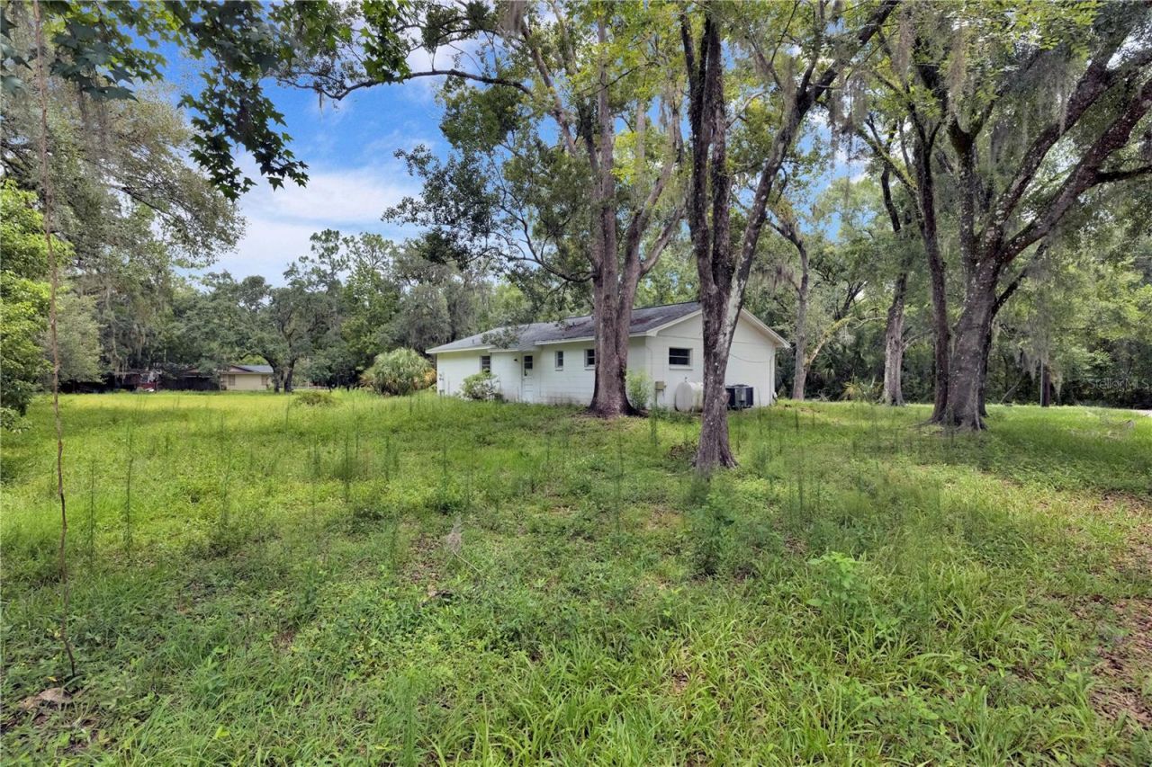 11916 Davis Road, Tampa, FL 33637 Photo