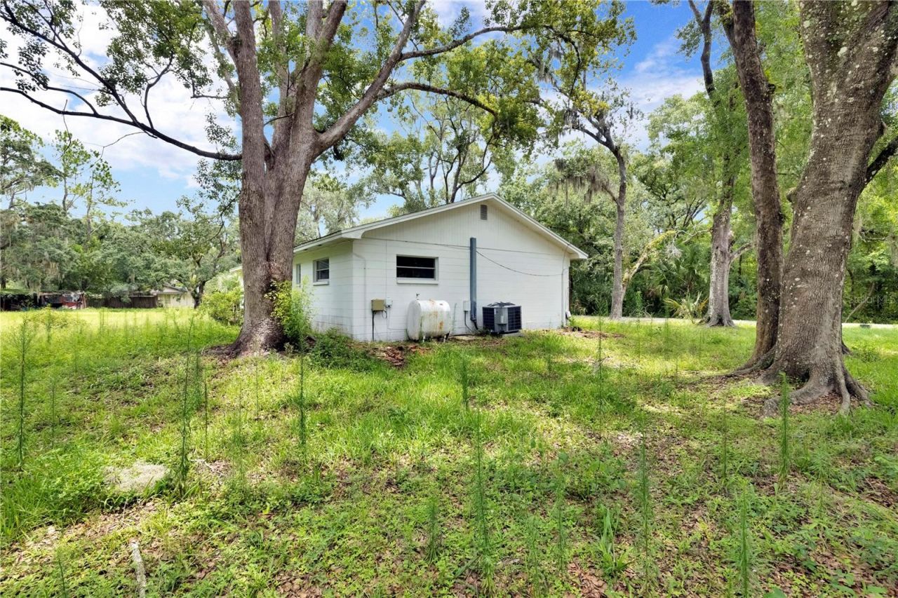 11916 Davis Road, Tampa, FL 33637 Photo