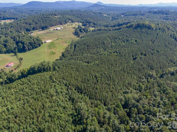 83 Acres +/- Pleasant Grove Road , Rutherfordton, NC 28139