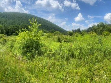 Bramley Mountain Road, Delhi, NY 13753
