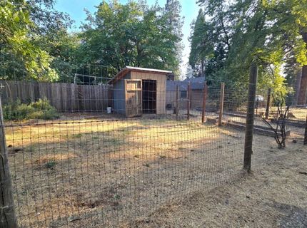 10379 Carey Dr, Grass Valley, CA 95945 Photo