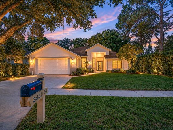 3530 FOX SQUIRREL LANE , VALRICO, FL 33596