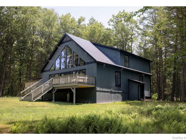 301 Reyer Road , Narrowsburg, NY 12764