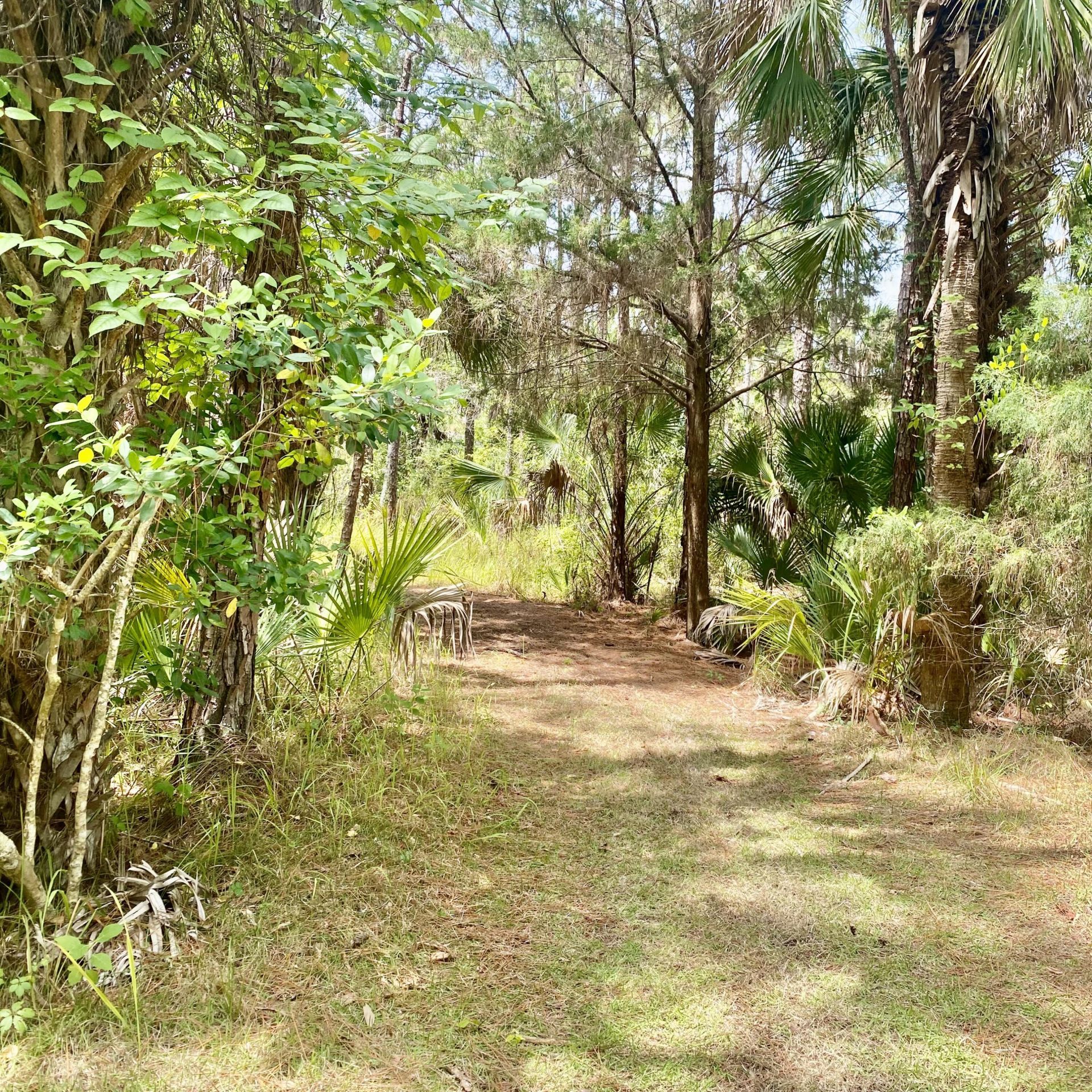 6776 Keydeer Avenue , Cocoa, FL 32926 Photo