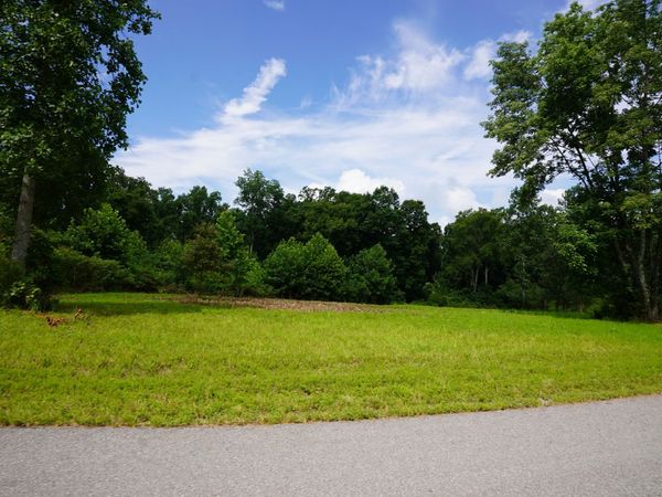1 Peachers Lane , Indian Mound, TN 37079