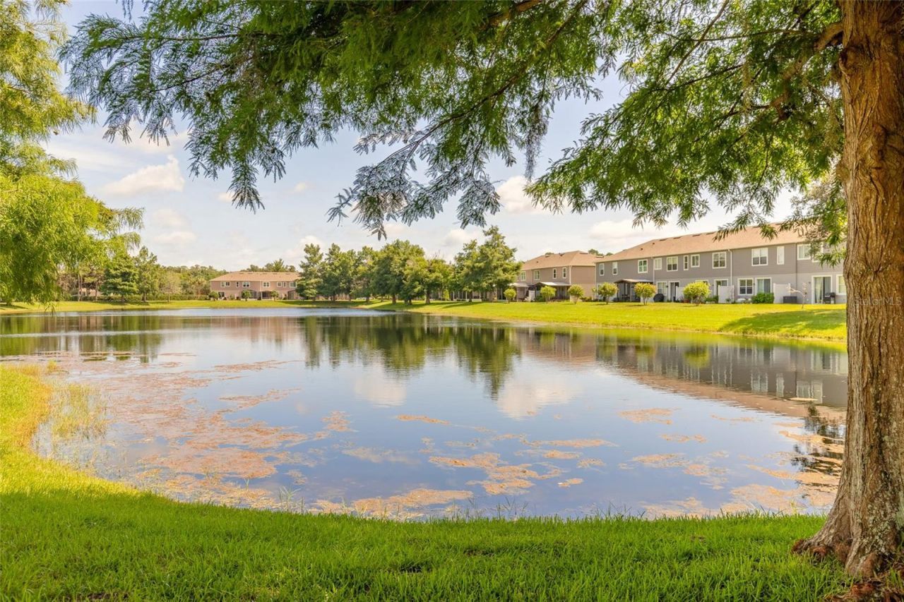 2669 Sicily Drive , New Smyrna Beach, FL 32168 Photo