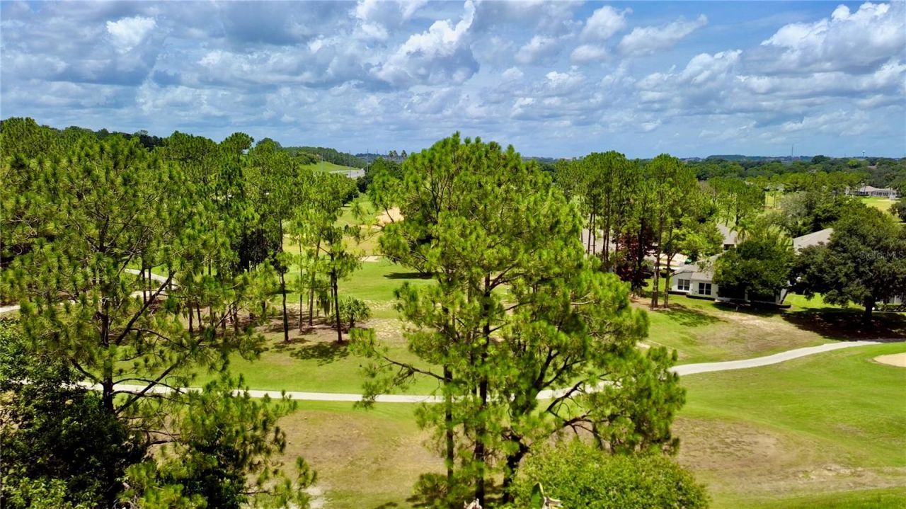 2067 Braxton Street, Clermont, FL 34711 Photo
